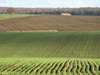 plaine d'automne en Picardie