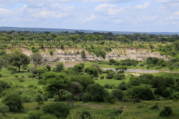 Fototapeta na wymiar panoramic view of African plain 