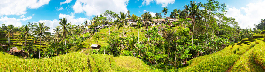 Fototapeta na wymiar Panoramic view of Tegallalang Rice Terraces, Ubud, Bali, Indonesia. Beautiful green rice fields, natural background. Travel concept, famous places of Bali.
