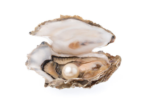 Open oyster with pearl isolated on white background