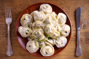 Dumplings, filled with meat, ravioli, pelmeni. Dumplings with filling. overhead, horizontal