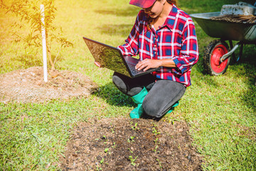 Asian woman using digital tablet in the cultivation of vegetable. modern technology application in agricultural growing activity.