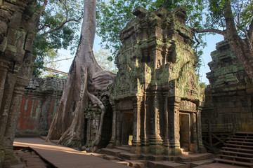 Naklejka premium Ta Prohm , Angkor , Cambodia, was inscribed on the UNESCO-WHL 1992. The ancient temple where roots of the jungle trees intertwine with the masonry of these ancient structures producing surreal world.