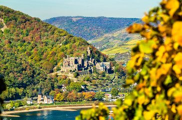 Reichenstein Castle in the Rhine Gorge, Germany © Leonid Andronov