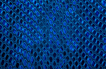 Snake skin background. Blue color.