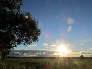 Fototapeta na wymiar Summer landscape with setting sun
