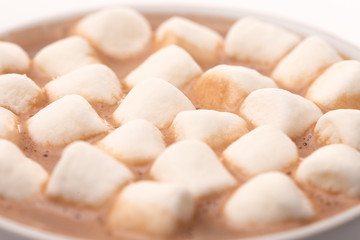 Fototapeta na wymiar Round Mug of Hot Chocolate Topped with Small White Marshmallows