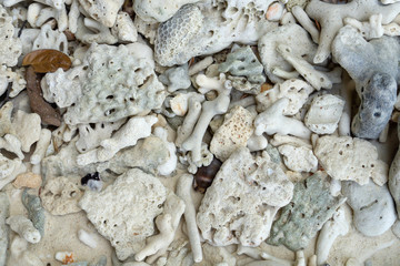 White broken dead coral beach nature background in thailand sea.