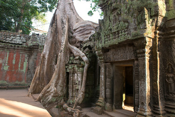 Ta Prohm , Angkor ,  Cambodia, was inscribed on the UNESCO-WHL 1992. The ancient temple where roots of the jungle trees intertwine with the masonry of these ancient structures producing surreal world.