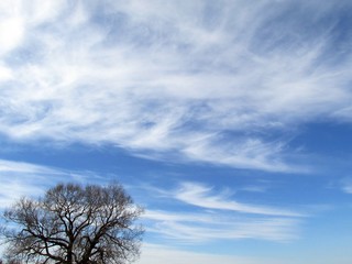 Obraz premium Cirrus clouds to rain
