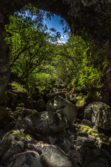 Nez de Boeuf - Mapou - Roche Plate