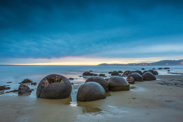 Obraz premium Moeraki Boulders. Oamaru New Zealand
