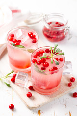 Cranberry and sage cocktail, drinking vinegar, copy space