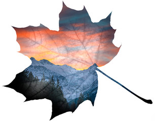 double exposure leaf and Alps in winter - sunset time