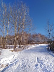 Fototapeta na wymiar ski Track