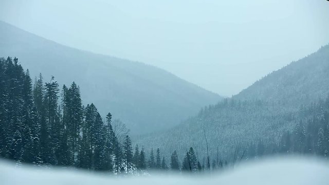 Foggy countryside in snowy valley. Hills and mountains with pine tree ans spruce forest covered with snow. Multi-layered mountain landscape. Ski resort and travel theme. Moody weather.