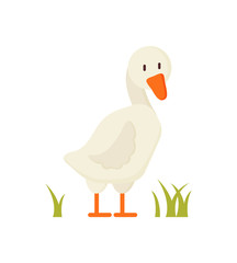 White Goose Standing on Grass Cartoon Style Poster