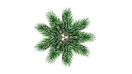 Snowflake from pine needles