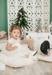 Fototapeta na wymiar Beautiful baby girl near a Christmas tree with gifts with little boy feeding black vietnamese piglet.