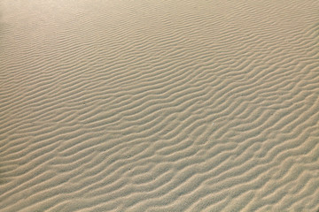 sand, desert, texture, beach, dune, pattern, nature, abstract, wave, dry, ripple, sandy, wind, ripples, textured, sea, arid, dunes, coast, sahara, travel, yellow, landscape, hot, lines