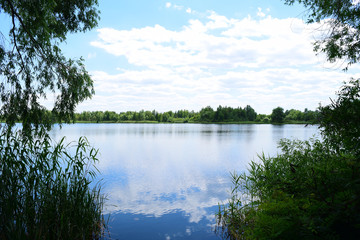 Beautiful view of the dark lake in nature. Summer landscape.
