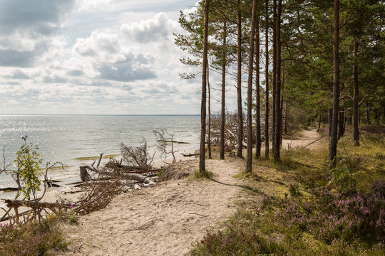 รูปภาพKurland เลือกดูภาพถ่ายสต็อก เวกเตอร์ และวิดีโอ487 Adobe Stock