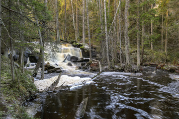 wooded river landscape