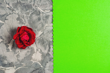 One red rose and green blank paper sheet with figured edge on old gray concrete surface