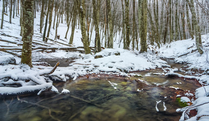 river rushing through a snowbound mountain canyon