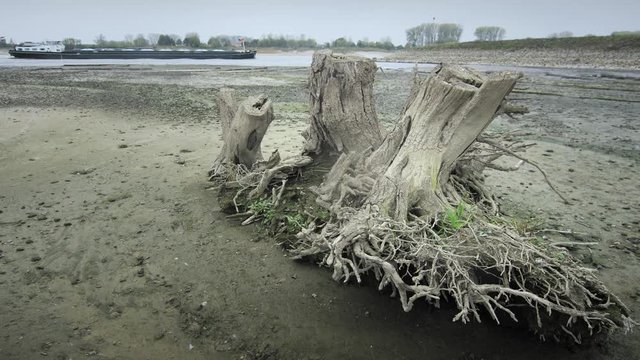 River Rhine's historic low near Lobith at the Dutch German Border