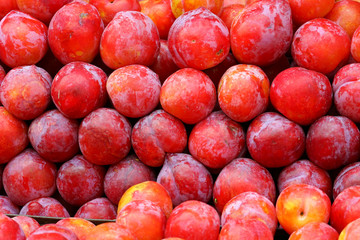 Fototapeta na wymiar red plums at the market