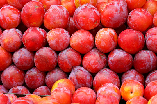 red plums at the market