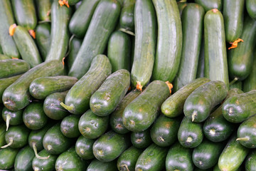 cucumbers at the market