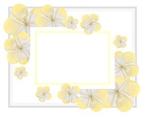 Illustration of watercolor hand drawn frame with flowers. Summer, Spring. Plumeria. Wedding invitation. Card