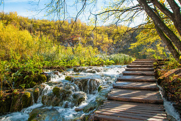 Croatia, Plitvice, national park, beautiful landscape, wooden path next to the river flow and green nature 