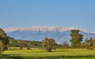 Fototapeta premium górska sceneria w parku przyrody w pobliżu kemer, turcja