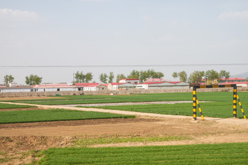 Obraz premium The train from Beijing to Hailar