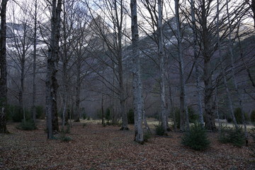 Ordesa Monte Perdido. National Park in Huesca, Spain