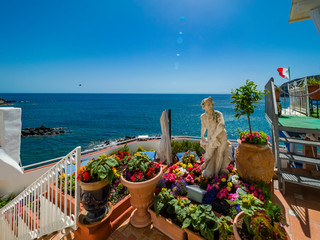 Colorful flower decoration at the seaside, Forio, island Ischia, Naples, Gulf of Naples, Kampanie, Italy - obrazy, fototapety, plakaty