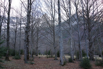 Ordesa Monte Perdido. National Park in Huesca, Spain