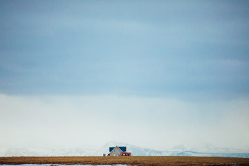 solitude icelandic farm