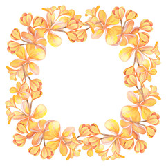 Illustration of watercolor hand drawn frame witn orange and yellow plumeria flowers isolated on white background. For cards, wedding invitation, posters.