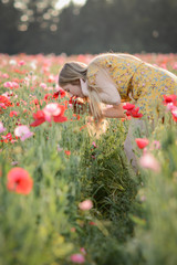 Beautiful Girl in Poppies