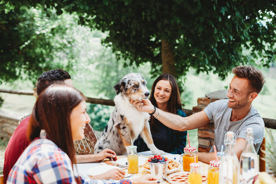 Group of young friends during breakfast in the countryside on a summer day. On the table biscuits, tart and fruit juices in glass bottles. A dog interacts with the millennials sitting at the table