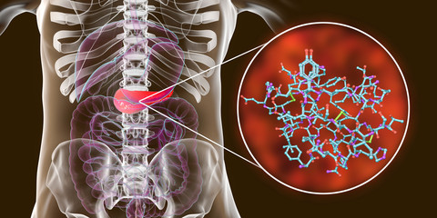 Pancreas producing insulin hormone, conceptual image, 3D illustration