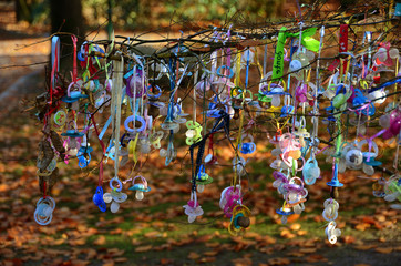 Schnuller am Baum