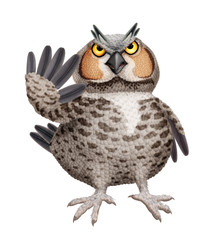 oiseau, chouette, animal, hibou, bec, prédateur, drôle,  faune, stop, faucon, sauvage, empennage, rapace,, proie, aigle, yeux, mascotte