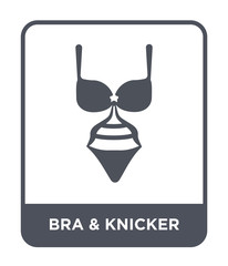 bra & knicker icon vector