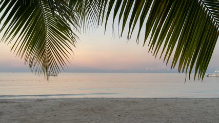 Photo sur Plexiglas Plage de Seven Mile, Grand Cayman Ocean view from under a palm tree
