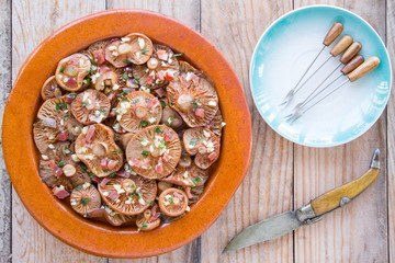 Saffron milk cap mushrooms on a clay pot